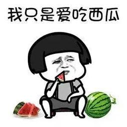 娱乐吃瓜酱ovo,揭秘娱乐圈那些不为人知的幕后故事